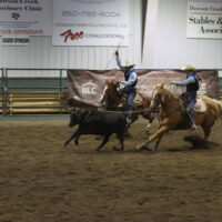 Northern Lights College Rodeo Team members about to rope the steer.